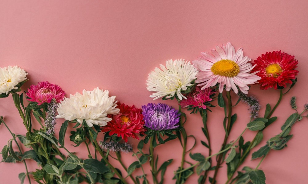 Classic Flower Colour Combinations That Never Go Out of Style